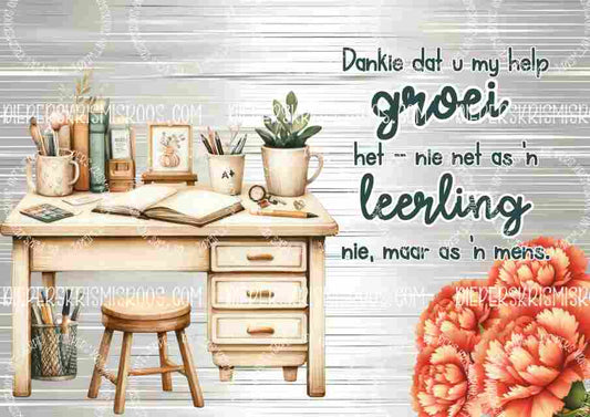 Teacher thank you set A0 Afrikaans